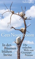 Cover: In den B&auml;umen bl&uuml;hen Steine - Suhrkamp