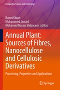 Cover: Annual Plant: Sources of Fibres, Nanocellulose and Cellulosic Derivatives - Springer