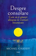 Cover: Despre consolare - Publishdrive