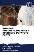 Cover: ?????? ??????????????? ? ???????? ?????? - Sciencia Scripts