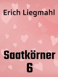 Cover: Saatk&ouml;rner 6 - Books on Demand