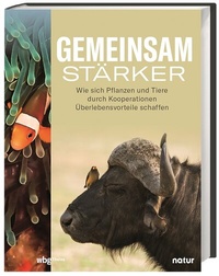 Abbildung von: Gemeinsam stärker - Theiss in Herder