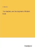 Cover: The Anatomy and Development of Rodent Ulcer - Anatiposi Verlag