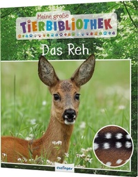 Abbildung von: Meine große Tierbibliothek: Das Reh - Esslinger
