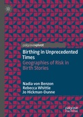 Cover: Birthing in Unprecedented Times - Palgrave Macmillan