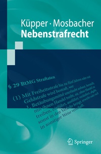 Abbildung von: Nebenstrafrecht - Springer
