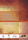 Abbildung von: Estrategias procesales en materia probatoria - J.M Bosch