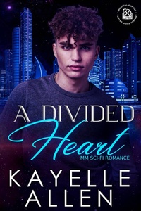 Enlarge image Cover: A Divided Heart - Romance Lives Forever Books
