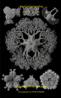 Cover: Psychosomatik - Edition Patrick Frey
