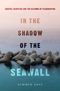 Abbildung von: In the Shadow of the Seawall - Church Publishing