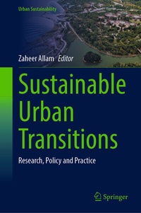 Abbildung von: Sustainable Urban Transitions - Springer
