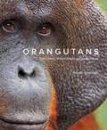 Cover: Orangutans - Firefly Books Ltd