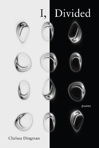 Enlarge image Cover: I, Divided - Zando - Hillman Grad Books