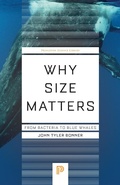Cover: Why Size Matters - Princeton University Press