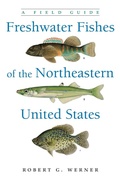 Cover: Freshwater Fishes of the Northeastern United States - Syracuse University Press