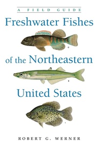 Abbildung von: Freshwater Fishes of the Northeastern United States - Syracuse University Press