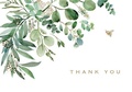 Cover: Eucalyptus Thank You Note Cards (14 Cards, 15 Self-Sealing Envelopes) - Peter Pauper Press