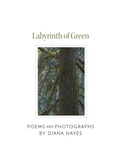 Cover: Labyrinth of Green - Plumleaf Press Inc.