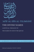 Cover: The Divine Names - New York University Press