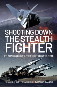 Abbildung von: Shooting Down the Stealth Fighter - Air World