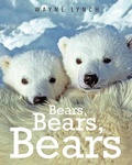 Cover: Bears Bears Bears for Kids - Fitzhenry & Whiteside