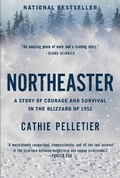 Cover: Northeaster - Pegasus Books