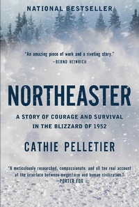 Enlarge image Cover: Northeaster - Pegasus Books