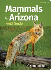 Enlarge image Cover: Mammals of Arizona Field Guide - Adventure Publications, Incorporated