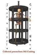 Cover: Just a Little Cage of Bone - Southern Arizona Press