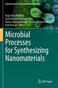 Cover: Microbial Processes for Synthesizing Nanomaterials - Springer