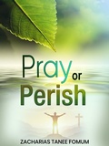 Cover: Pray or Perish (Prayer Power Series, #27) - Books4revival