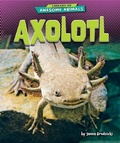 Cover: Axolotl - Bearport Publishing by Flutterbee