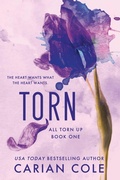 Cover: Torn - Grand Central Publishing
