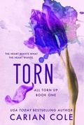 Cover: Torn - Forever