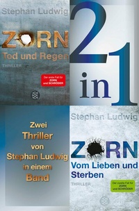 Abbildung von: Tod und Regen / Vom Lieben und Sterben - Zwei Zorn-Thriller in einem Band - Fischer Taschenbuch