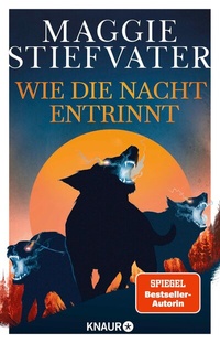 Abbildung von: Wie die Nacht entrinnt - Knaur