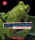 Cover: Just Discovered Amphibians (Learn About: Animals) - Scholastic US