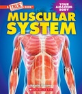 Cover: Muscular System (a True Book: Your Amazing Body) - ProQuest LLC