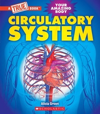 Enlarge image Cover: Circulatory System (a True Book: Your Amazing Body) - ProQuest LLC