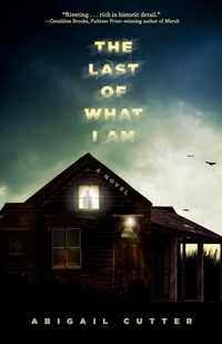 Enlarge image Cover: The Last of What I Am - Union Square & Co.