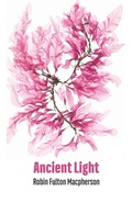 Cover: Ancient Light - Shearsman Books
