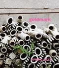 Cover: Spring 2023 - Goldmark