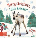 Cover: Merry Christmas, Little Reindeer - Magic Cat Publishing