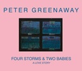 Cover: Four Storms & Two Babies - Dis Voir