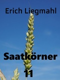 Cover: Saatk&ouml;rner 11 - Books on Demand