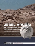 Cover: Jebel Aruda: An Uruk period temple and settlement in Syria - Sidestone Press
