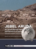 Cover: Jebel Aruda: An Uruk period temple and settlement in Syria - Sidestone Press