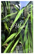 Cover: Poesie - Jung und Jung