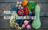 Abbildung von: Problem Beginner Gardners Face - Lulu.com
