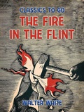Cover: The Fire in the Flint - OTB eBook publishing